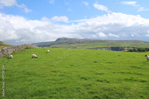 yorkshire dales