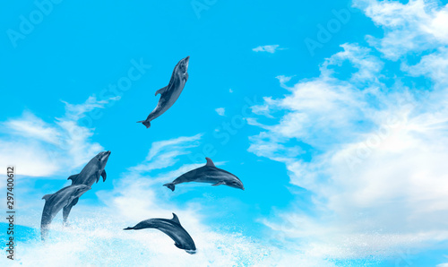 Group of dolphins jumping on the water with bright blue sky