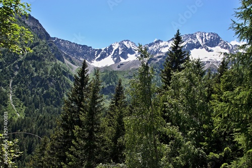 Italy-view from the path from Passo del Tonale
