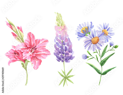 set of pink and blue watercolor flowers on a white background