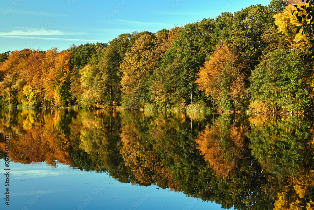 Fototapeta premium Colorful tree leaves by a lake during autumn in Poland.
