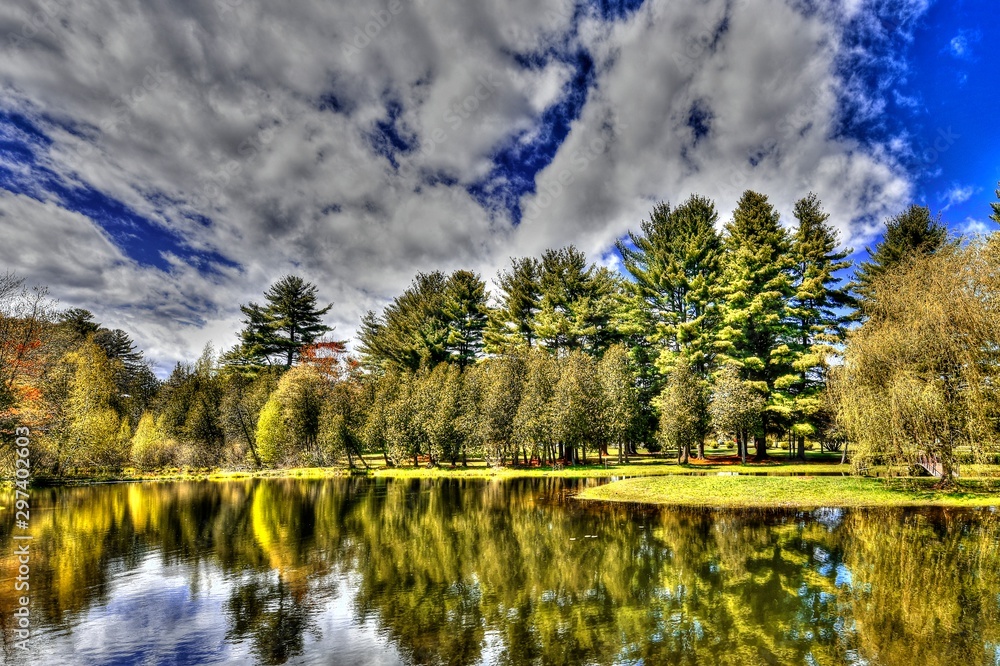 Fototapeta premium Reflections