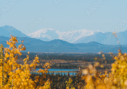 Beautiful fall   autumn color of trees and mountains in remote Alaska