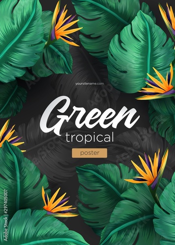 Bright tropical background with jungle plants. Exotic pattern with tropical leaves