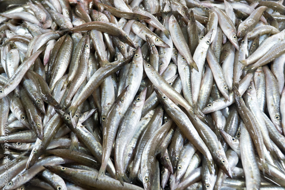 Sprat on the counter. A lot of small fish for sale. Fish shop. Sprat on the counter. A lot of small fish for sale. Fish shop.
