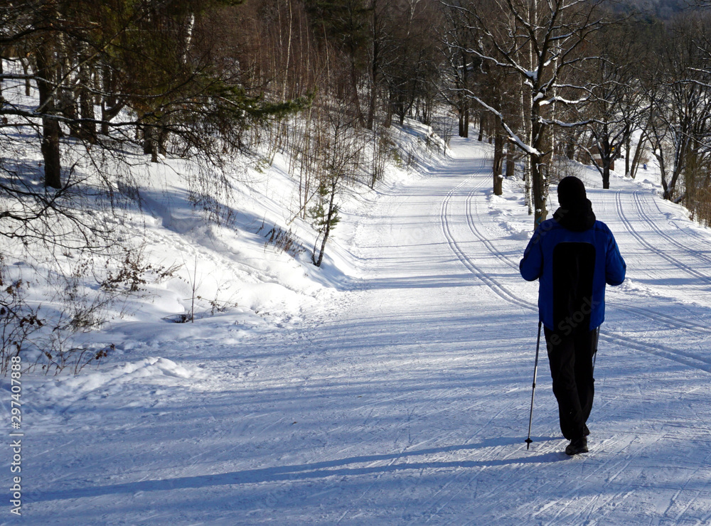 A man is engaged in Nordic walking in a snowy forest on a sunny winter day.Wonderful winter landscape. Winter snowy forest on a cold sunny day. Great time for an active winter holiday.