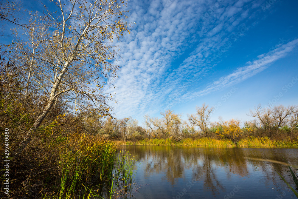 autumn scene on lake