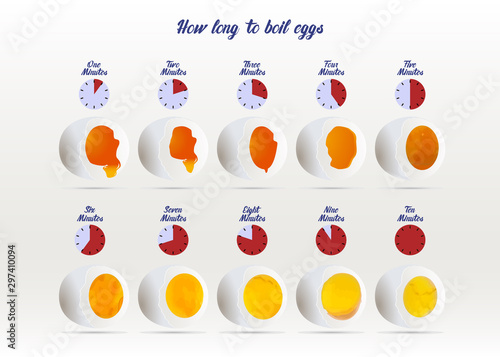 Eggs. Vector illustration.