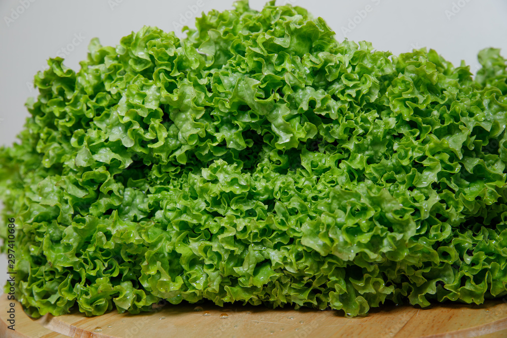 Fresh lettuce salad leaves bunch isolated on white background cutout Fresh lettuce salad leaves bunch isolated on white background cutout