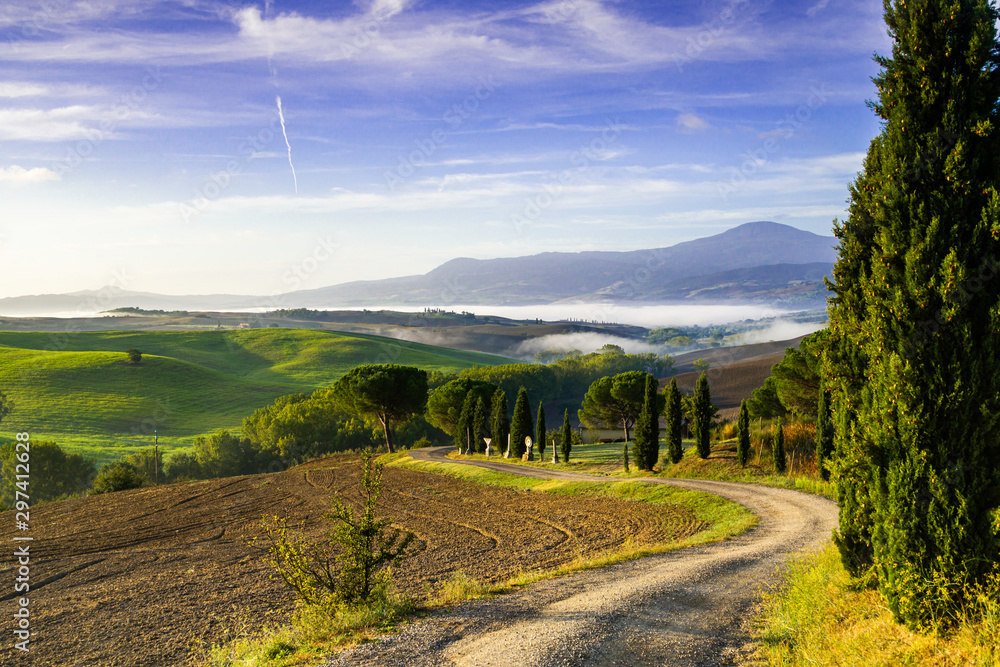 Beautiful view of green fields and meadows at sunrise in Tuscany