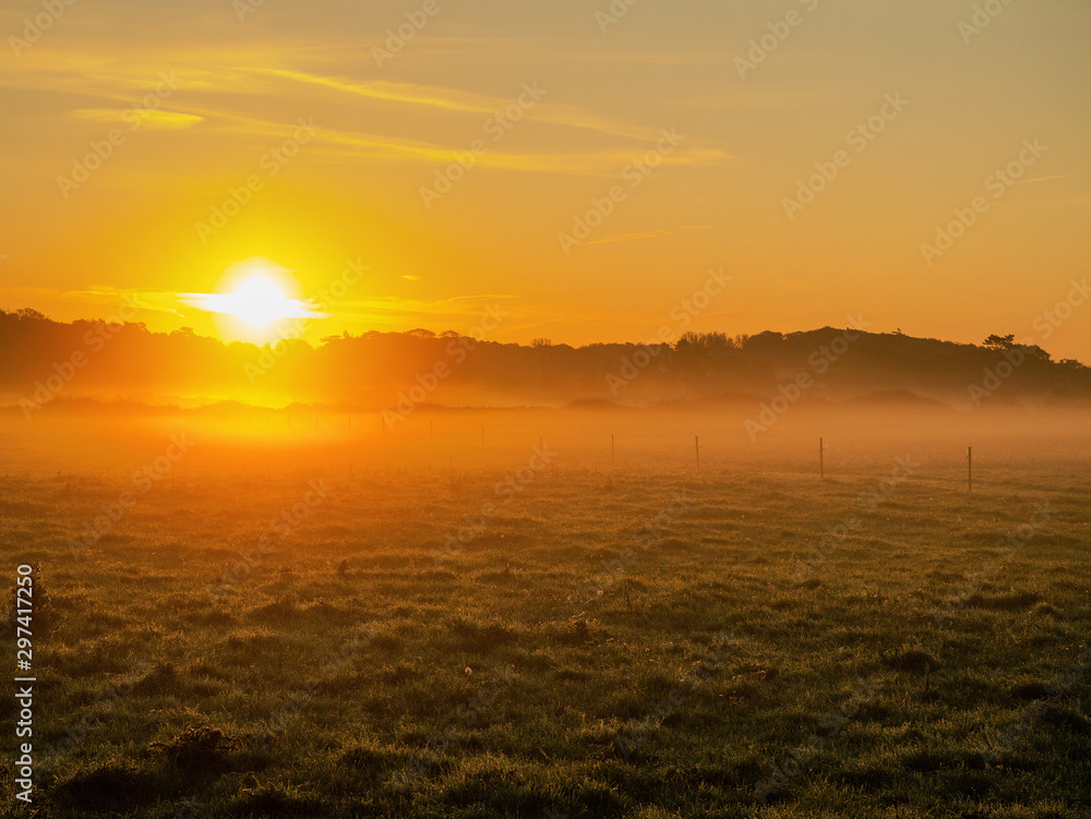 Golden sun rise in a field, Fog over grass makes sun haze. Calm and surreal atmosphere. Selective focus.