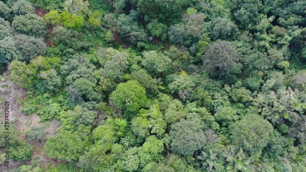 Top View Of Forest In Ampang Hill - Pan Right To Left 