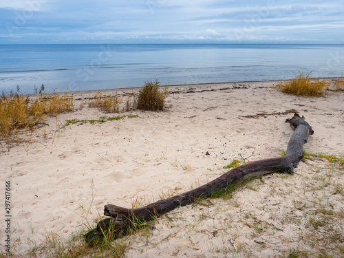 Old wood on a sandy beach by sea, Calm water, Blue sky with clouds, Jurmala region, Latvia. © mark_gusev