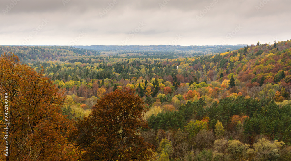 View of autumn foliage and mountains in Gauja national park in Latvia.
