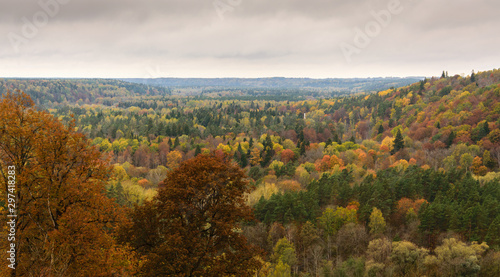 View of autumn foliage and mountains in Gauja national park in Latvia.