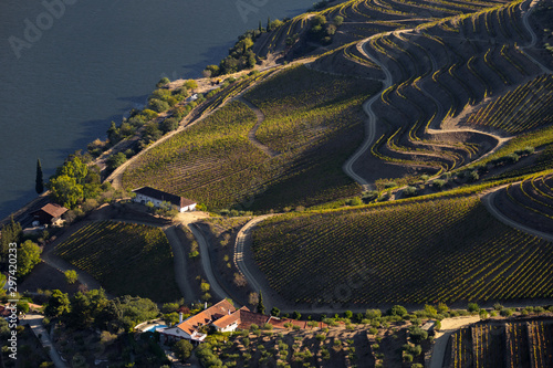 UNESCO World Heritage, the Douro Valley beautiful endless lines of Vineyards, in Sao Joao da Pesqueira, Viseu, Portugal.	 photo