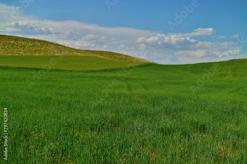 green field and blue sky © Melih