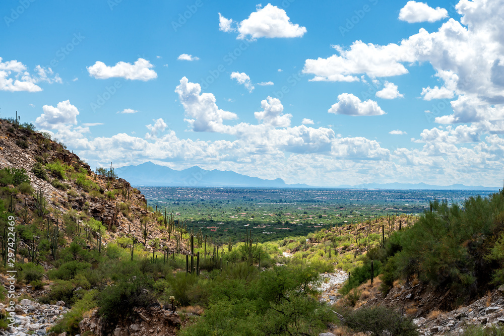 Landscape Tucson Arizona