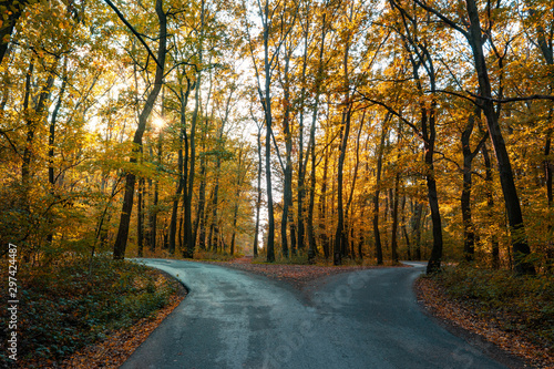 road goes two ways directions in a beautiful autumn forest symbol of making a decision photo