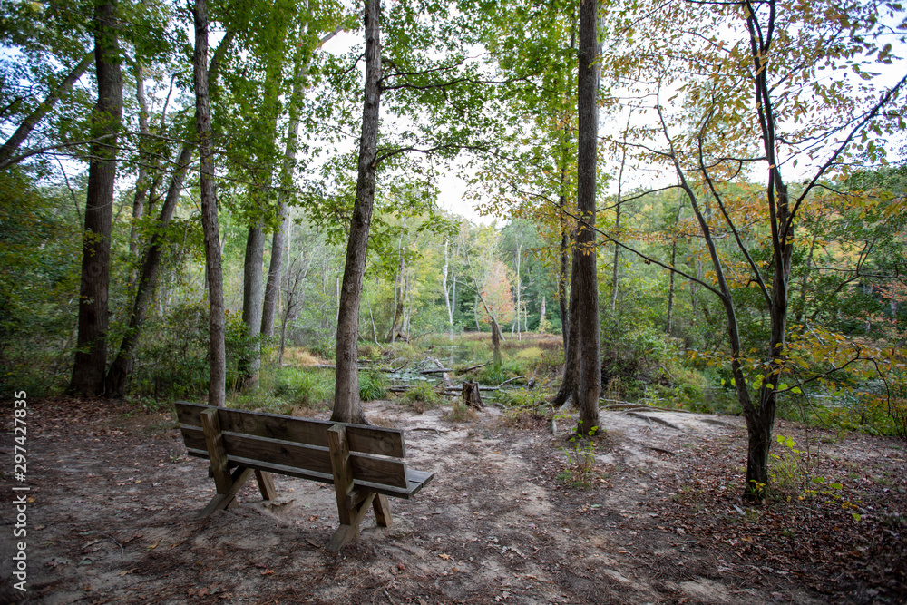 bench along overlook on hiking trail calvert cliffs state park southern maryland usa