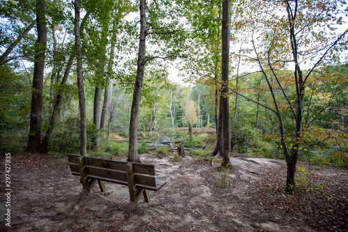 bench along overlook on hiking trail calvert cliffs state park southern maryland usa © yvonne navalaney