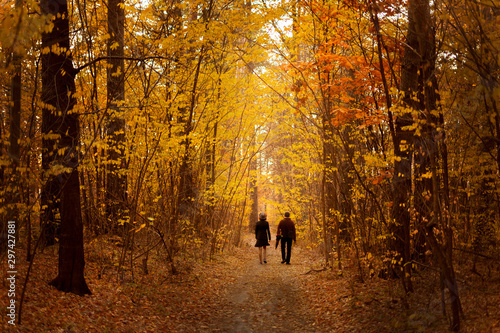 Two people go up the road among the autumn forest.