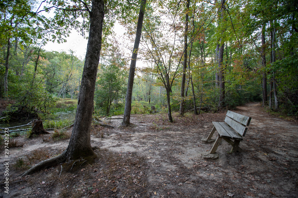 bench along overlook on hiking trail calvert cliffs state park southern maryland usa