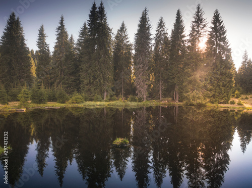 reflection of trees in lake © IoanBalasanu