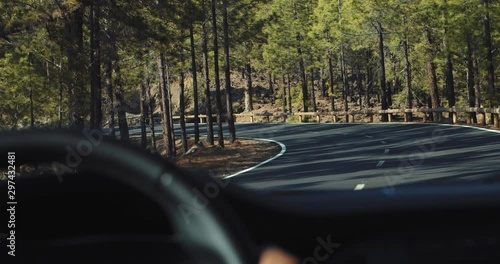 Landscape of beautiful green summer forest from car front window. Close-up male hands on wheel driving car slow motion. Roadtrip to the woods. photo