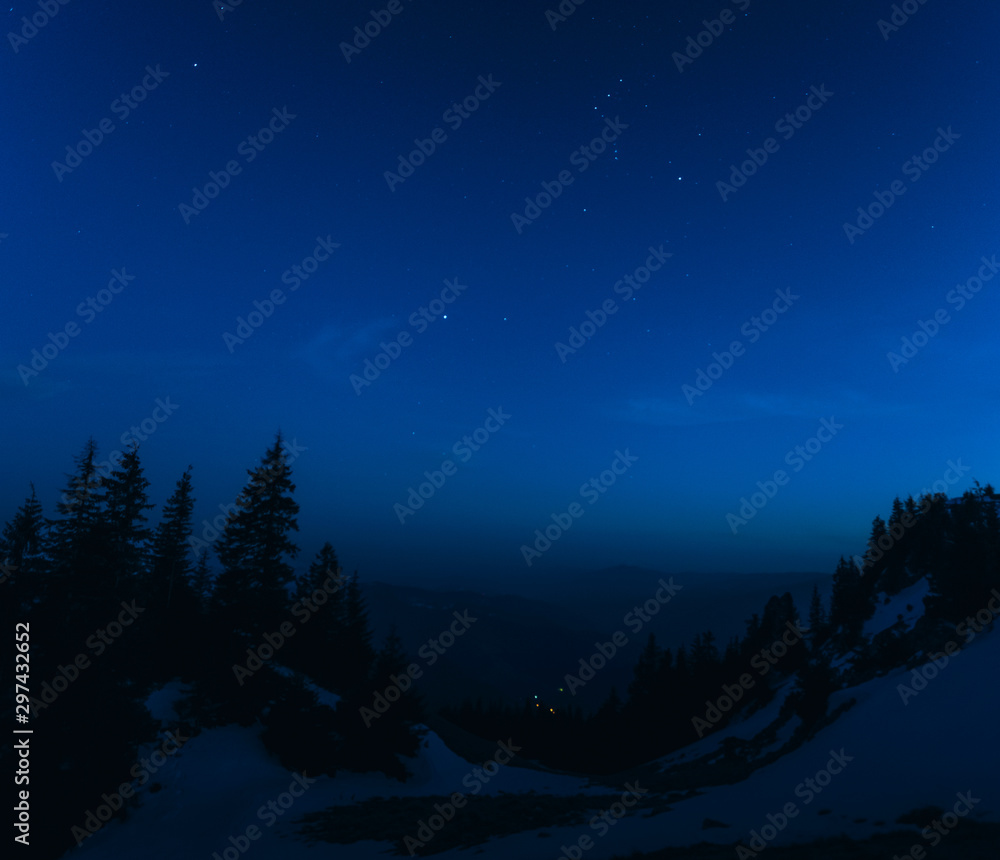 Fototapeta premium night landscape with trees and full moon