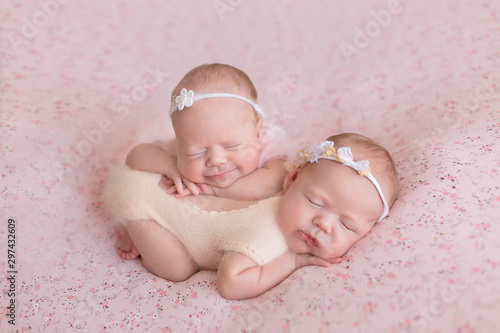 newborn twin sisters. first photo session of newborns