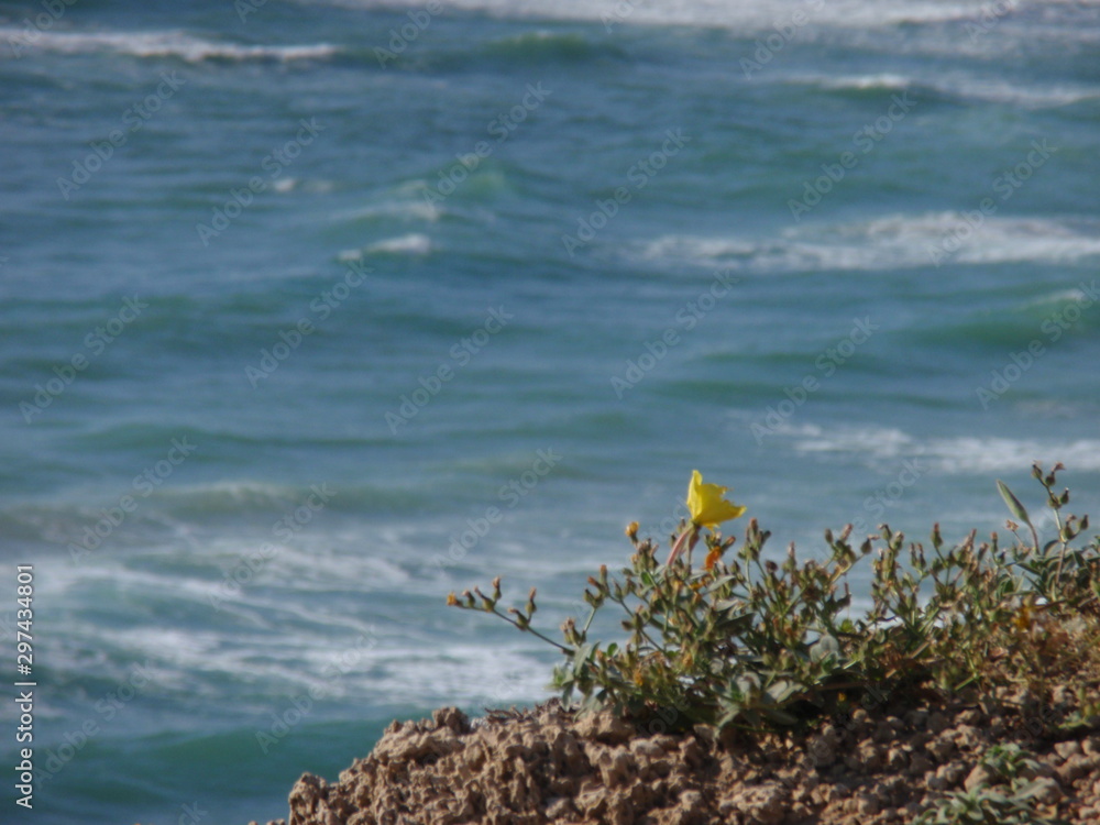 Obraz premium sea and blue sky