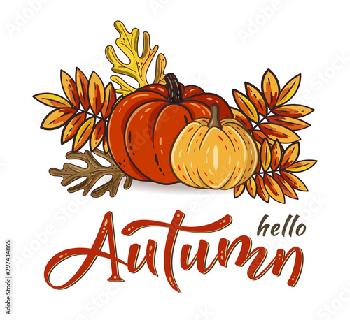 Hello Autumn hand drawn lettering text with autumn leaves and pumpkins. Rowan and oak leaves with gourds. Fall season elements for thanksgiving. Autumn harvest fest. Vector design