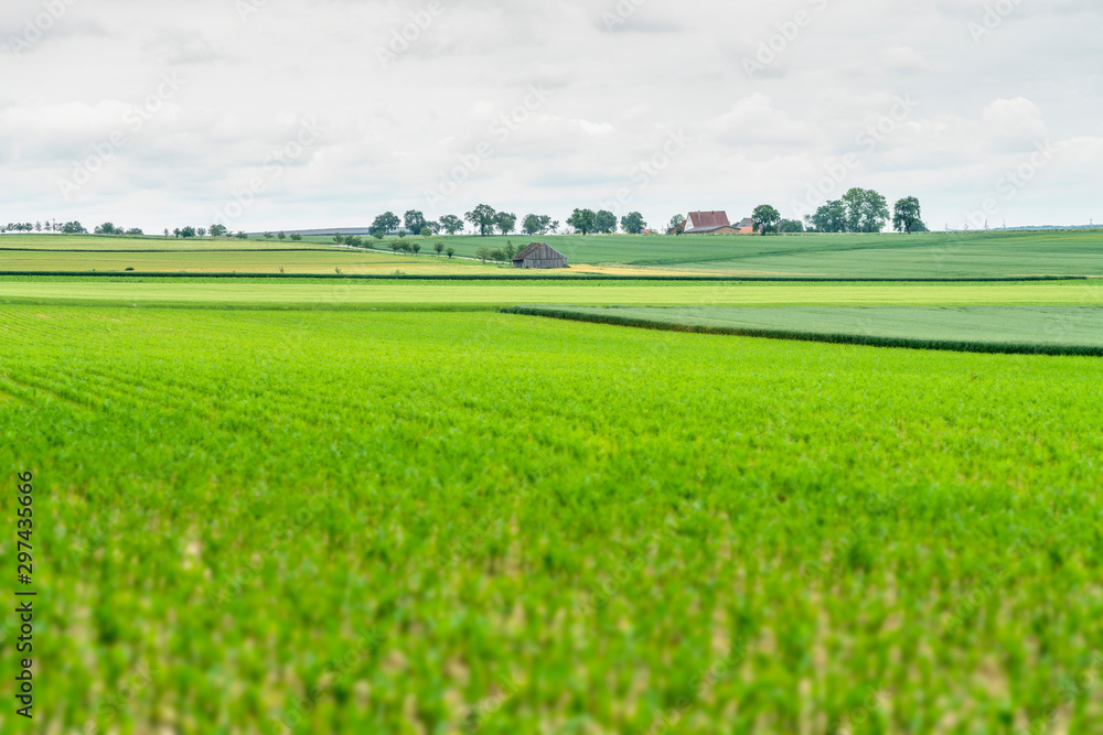 Obraz premium rural scenery in Hohenlohe