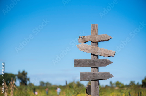 blank directional signpost in rural area with field and blue sky background, pumpkin patch sign with people in the background picking out pumpkins, fall season, halloween pumpkins, copyspace photo