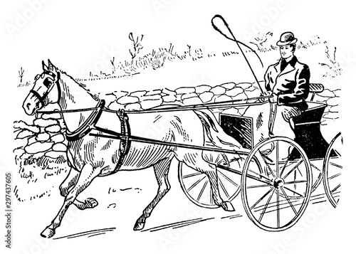 Horse Drawn Carriage, vintage illustration.