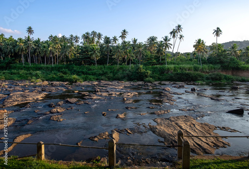 The village of Pinnawala. Here is a nursery and captive breeding ground for wild Asian photo