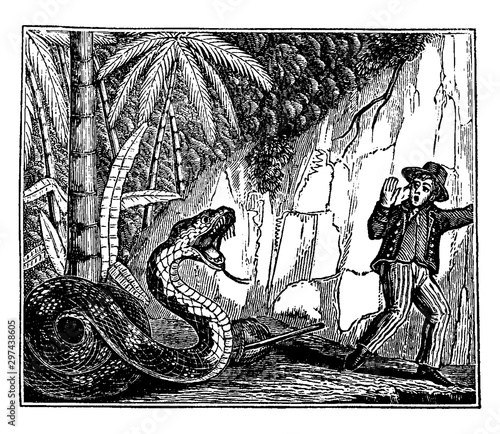 Escape from the Serpent of Ceylon, vintage illustration.