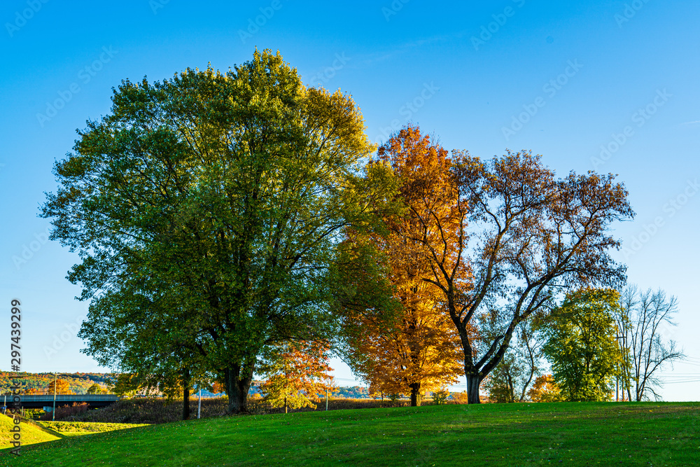 autumn in the park autumn in the park