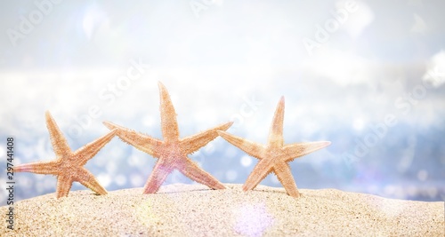 starfish  with ocean   beach and seascape  shallow dof