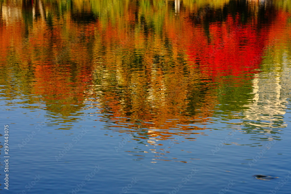 池に反射する紅葉 池に反射する紅葉