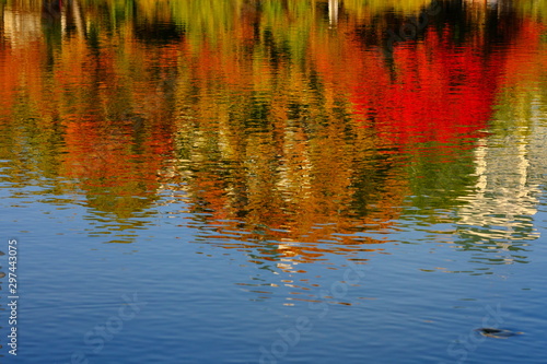 池に反射する紅葉