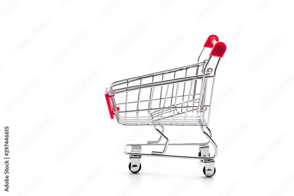 Shopping carts in large stores