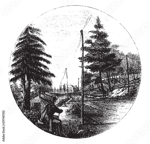 Andre Captured,vintage illustration