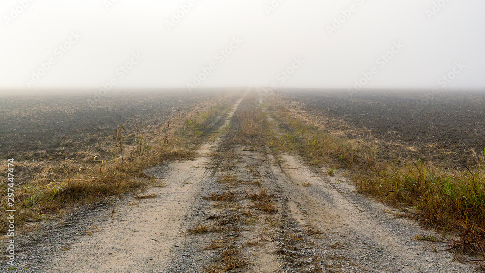 rural landscape of a dirt road disappearing into fog