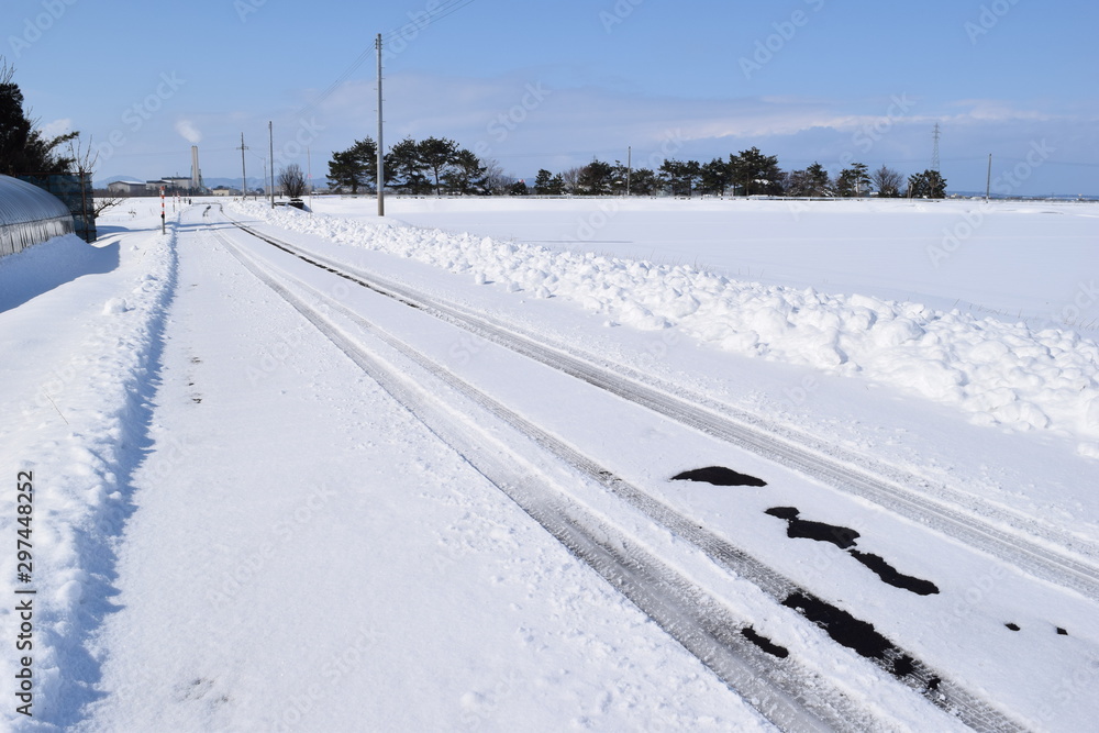 雪国の道路