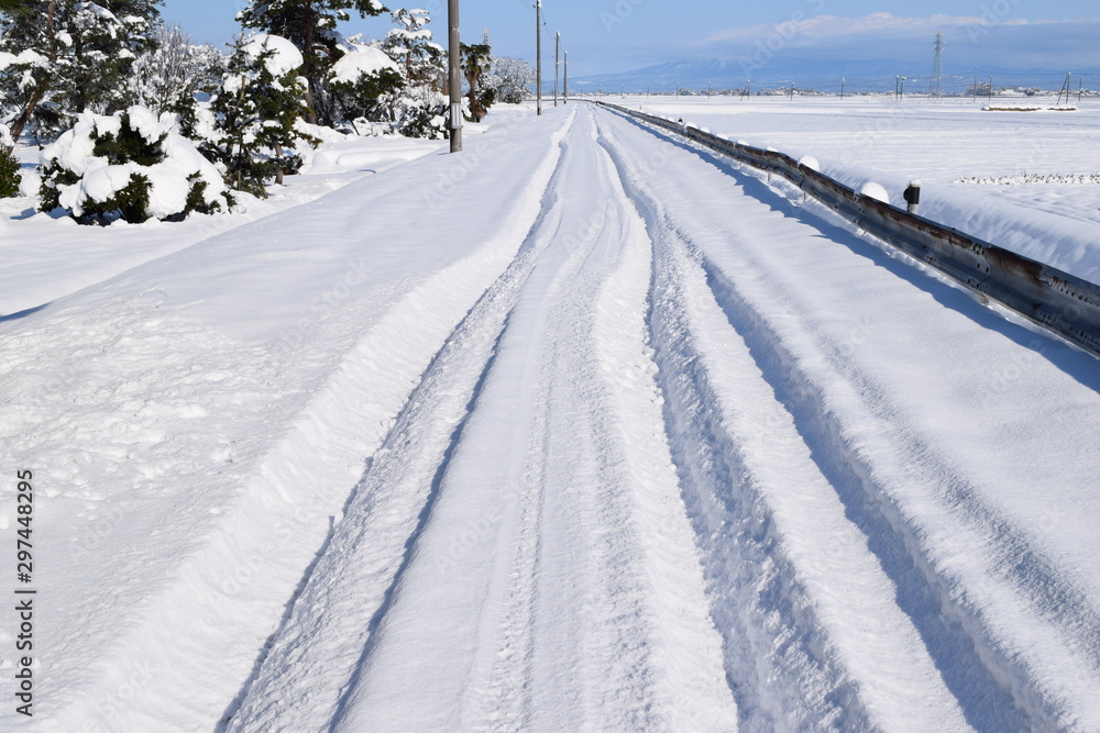 雪国の道路