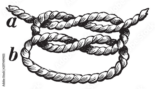 Granny Knot, vintage illustration.