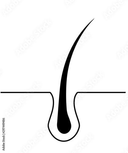 Hair skin Icon. Hair symbol vector EPS 10.