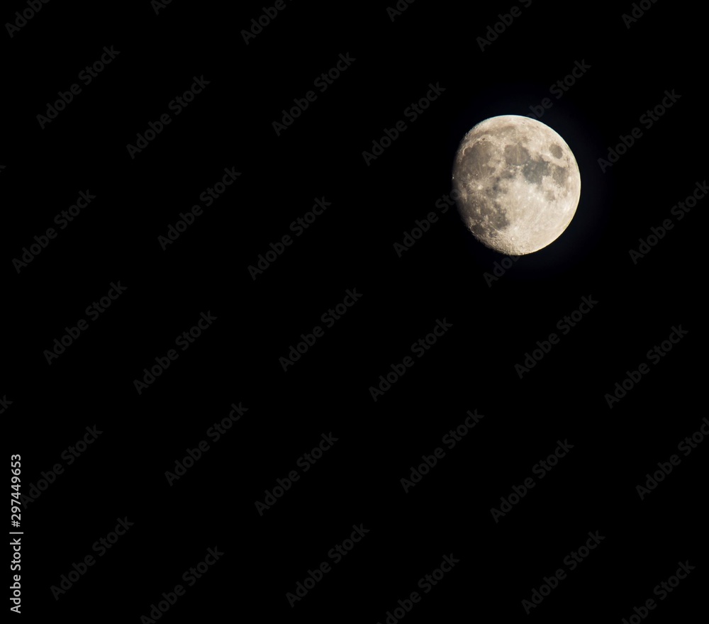 moon moon